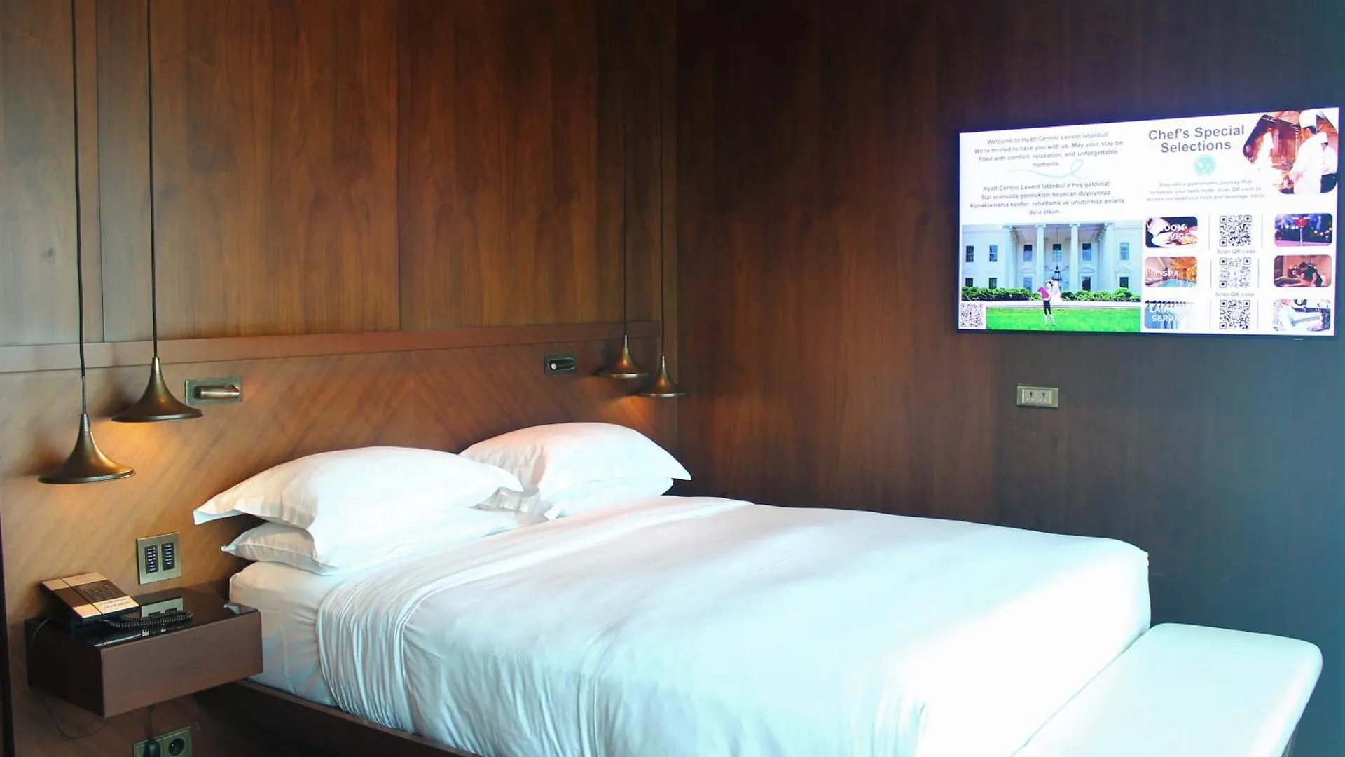Hyatt Centric Levent Istanbul Hotel Turkey