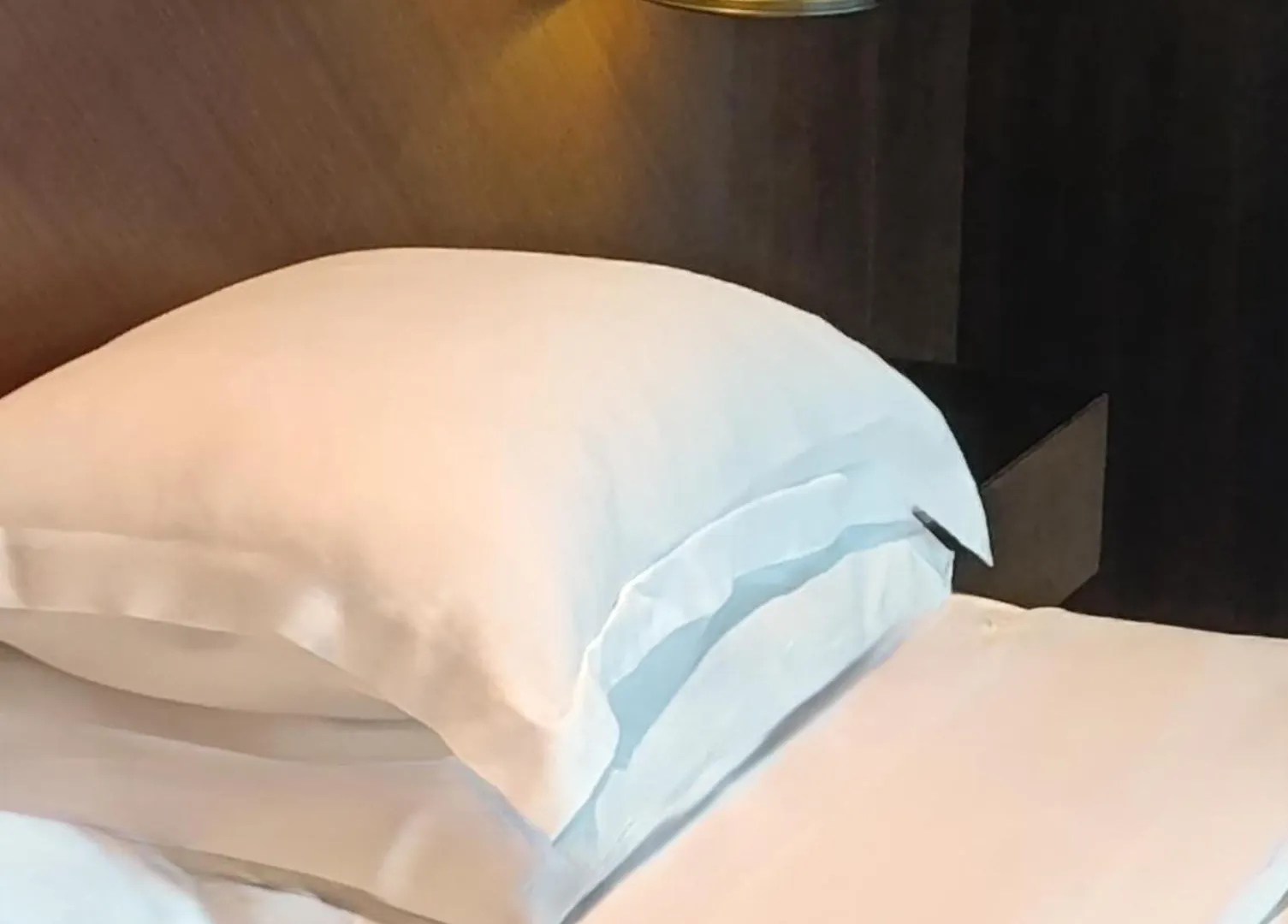 Hyatt Centric Levent Istanbul Hotel
